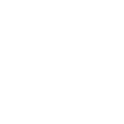 shovel
