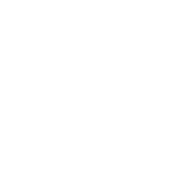 video-camera